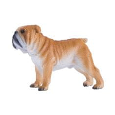 MOJO angleški buldog