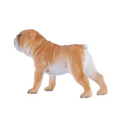 MOJO angleški buldog