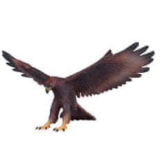 MOJO Eagle