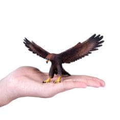 MOJO Eagle