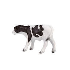 Holsteinsko tele Mojo stoji