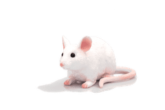 MOJO Mouse
