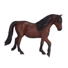 MOJO Horse morgan brown