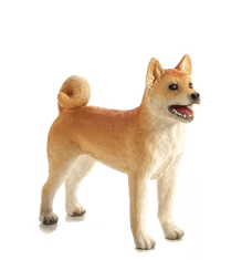 Mojo Dog Shiba Inu