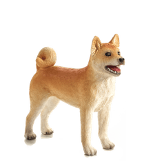 MOJO Dog shiba-inu