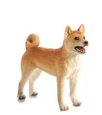 Mojo Dog Shiba Inu