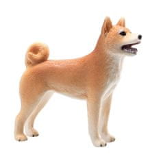 Mojo Dog Shiba Inu