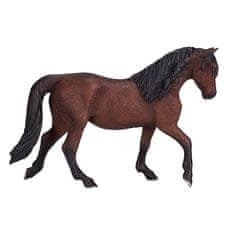 MOJO Horse morgan brown
