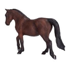 MOJO Horse morgan brown