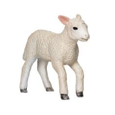 MOJO Lamb Romney močvirje teče