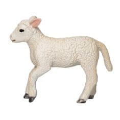 MOJO Lamb Romney močvirje teče