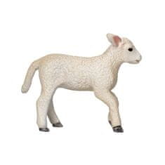 MOJO Lamb Romney močvirje teče