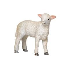 MOJO Lamb Romney močvirje stoji