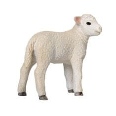 MOJO Lamb Romney močvirje stoji