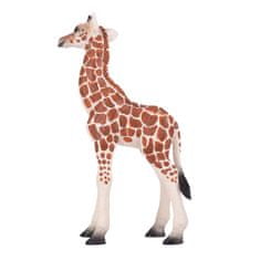 Žirafji mladiček Mojo