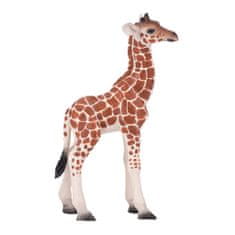 Žirafji mladiček Mojo