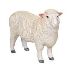 MOJO Aries Romney močvirje