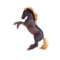MOJO žrebec Brumby