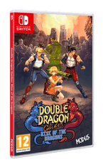 Double Dragon Gaiden: Rise Of The Dragons igra (Switch)