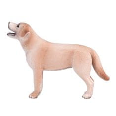 MOJO Labrador