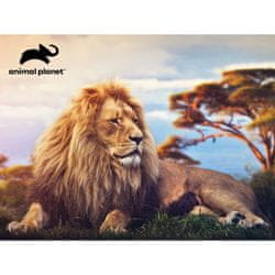   Animal Planet 3D sestavljanka, lev, 500/1