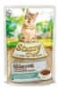 Cat Pocket Adult Rabbit 85G