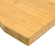 Vidaxl Mizna plošča 100x50x4 cm bambus