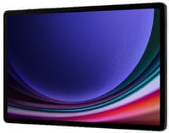 Samsung Galaxy Tab S9 Ultra tablica, 12GB/256GB, Wi-Fi, Graphite Gray (SM-X910NZAAEUE)