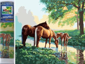 Norimpex Diamantna slika Konji ob vodi 30x40cm