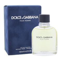 Dolce & Gabbana Pour Homme 125 ml toaletna voda za moške