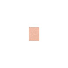 MAC Lipglass glos za ustnice 3.1 ml Odtenek 304 c-thru