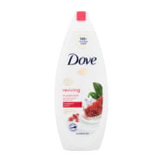 Dove Go Fresh Pomegranate osvežilen gel za prhanje 250 ml za ženske