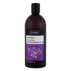 Ziaja Lavender 500 ml sivkin šampon za mastne lase unisex