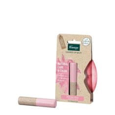 Kneipp Natural Care & Color negovalen balzam za ustnice 3.5 g Odtenek natural rose
