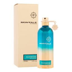 Montale Paris Blue Matcha 100 ml parfumska voda unisex
