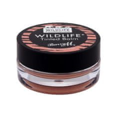 Barry M Wildlife Tinted Balm omejena izdaja balzama za ustnice 3.6 g Odtenek nude discovery