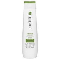 Biolage Strength Recovery Shampoo 250 ml krepitven šampon za poškodovane lase za ženske
