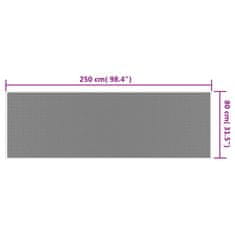 Vidaxl Zunanja preproga modra in bela 80x250 cm dvostranski dizajn