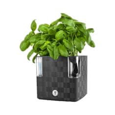 Plastkon Cvetlični lonec Cobble antracit, dekorativni, 14x14cm