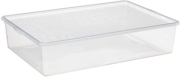 Plast Team Škatla za čevlje 19l, 55x36,5x11,8cm s plastičnim pokrovom, TRA