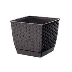Prosperplast Cvetlični lonec Ratolla Square rjav 19x19x16cm, s skledo