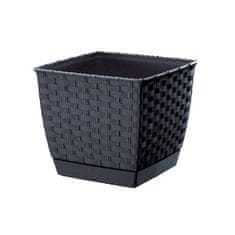 Prosperplast Cvetlični lonec Ratolla Square antracit 19x19x16cm, s skledo