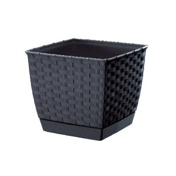 Prosperplast Cvetlični lonec RATOLLA SQUARE 25x25x22cm ANTR (S433) s skledo