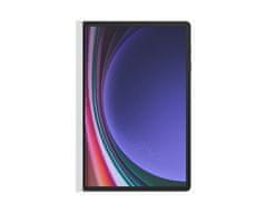 Samsung Galaxy Tab S9+ NotePaper ovitek z beležnico, prozoren (EF-ZX812PWEGWW)