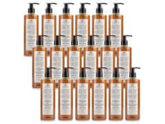 PRIJA PRIJA šampon/tekoči gel za prhanje ginseng 18x380ml