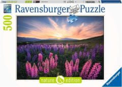Ravensburger Volčji bob puzzle 500 kosov