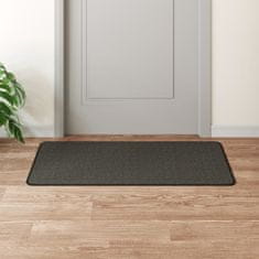 Vidaxl Tekač v videzu sisala antracit 50x100 cm