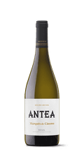 Marquesc Vino Antea Edicion Limitada Marques de Caceres 0,75 l