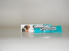 Stomodin gel 30ml