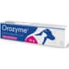 Orozyme encimski zobni gel za pse in mačke 70g